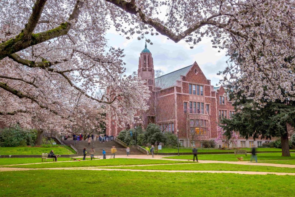 image of University of Washington campus